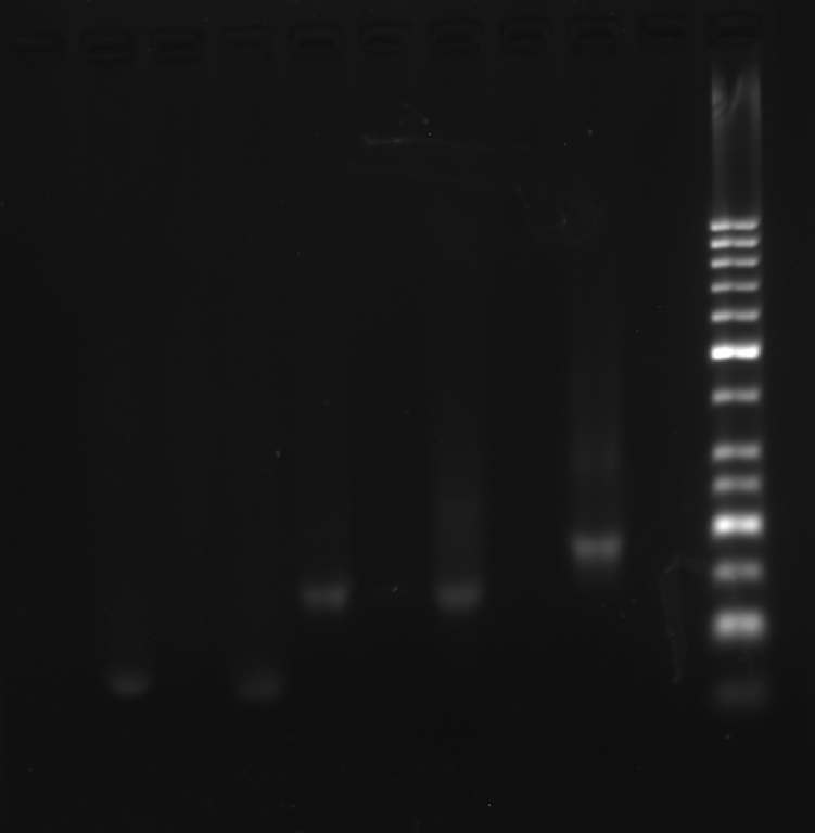 image-20251009010551102