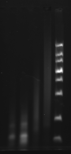 image-20251009011650120