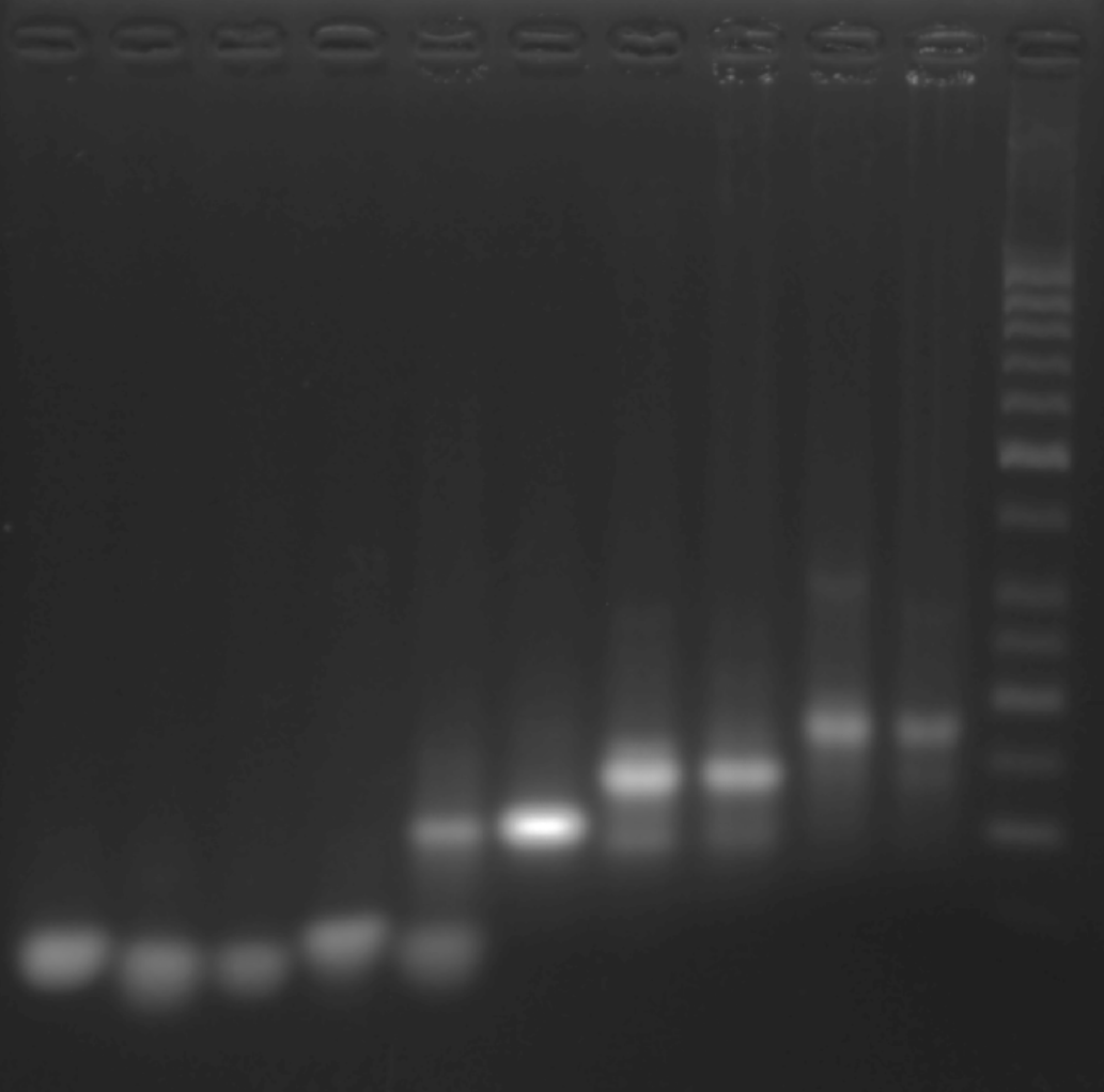 image-20251009012412769